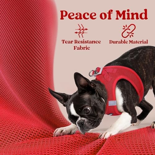 rabbitgoo Step-in Small Dog Harness, Puppy Vest - Image 3