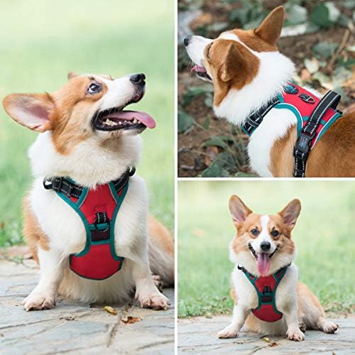 PHOEPET 2019 Upgraded No Pull Dog Harness, Reflective Adjustable Vest, - Image 7