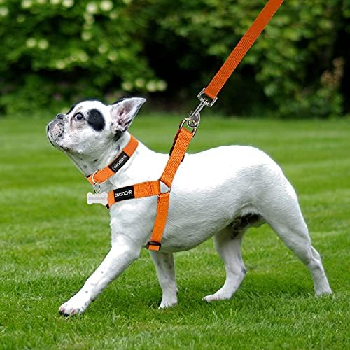 No Pull Dog Harness, Leash & Collar Set, Adjustable Step-in Vest - Image 5
