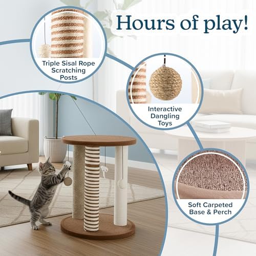 Cat Scratching Post - Image 2