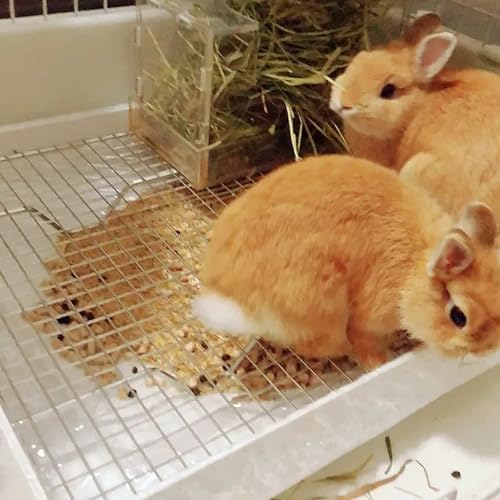 PODOO Rabbit Litter Box – Training Potty Tray - Image 6