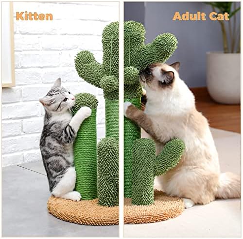 PAWZ Road Cactus Cat Scratching Post 23”Cat Scratcher - Image 6