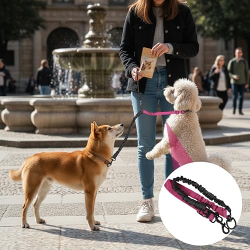Molain Double Dog Leash Coupler, 360° Swivel No Tangle Splitter - Image 5