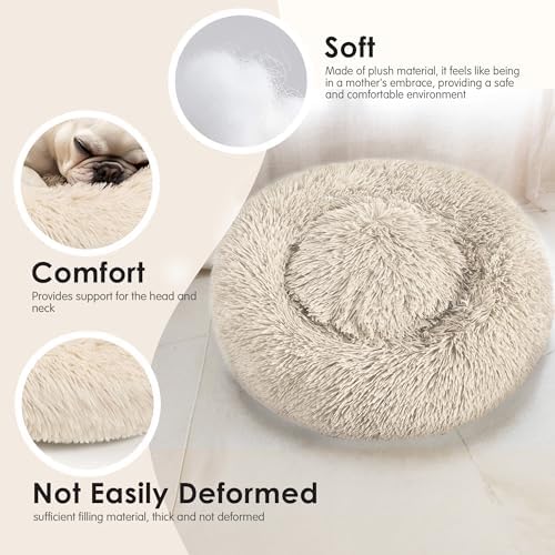 Hoewina Dog & Cat Bed, 20in Cat Beds - Image 4