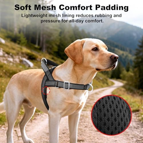 No Pull Dog Harness with Handle, Adjustable Soft Mesh Padded Vest - Image 4