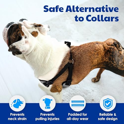 AKC Premium Padded Step-in Dog Harness – Soft Comfort Fit - Image 3