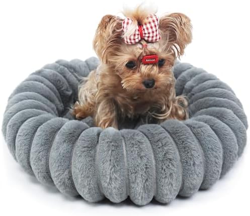 Kitten Beds for Indoor Cats by ZihapgpzpPetSupplies