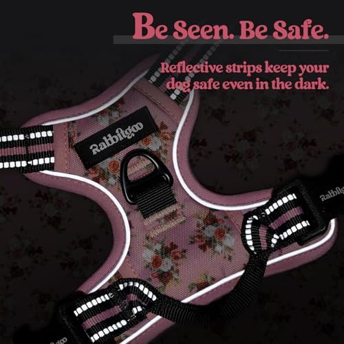 rabbitgoo Dog Harness, No Pull for Small Dogs - Image 7
