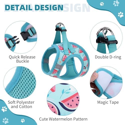 KOOLTAIL Dog Harness and Leash Set - Image 2