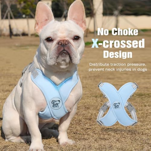 Pawaboo Small Dog Harness and Leash Set, Puppy Harness X-Frame Adjustable - Image 3