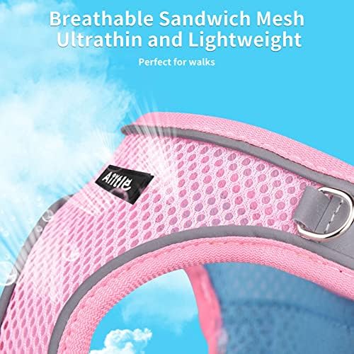 AIITLE Medium Dog Harness and Leash Set, Step-in Puppy Pet Vest - Image 2