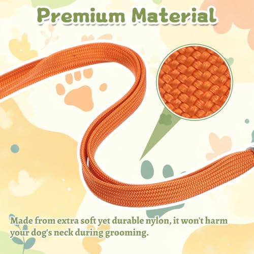 Dog Grooming Leash - Image 3