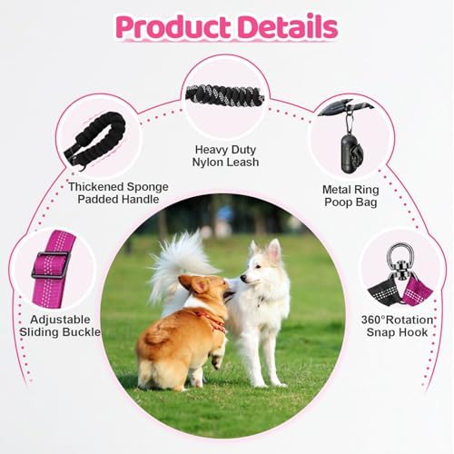 Double Dog Leash - Image 3