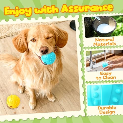 Forfon Slow Feeding Enrichment Set - Image 6