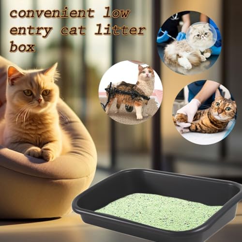 3 Pcs Low Entry Senior Cat Litter Box, Extra Large Size Pet Litter Box Low - Image 3