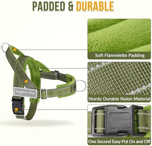 SlowTon No Pull Dog Harness and Leash Set - Image 3