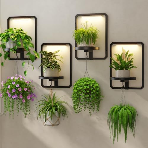 LASZOLA Plant Picture Frame Holder Shelf Wall by LASZOLA