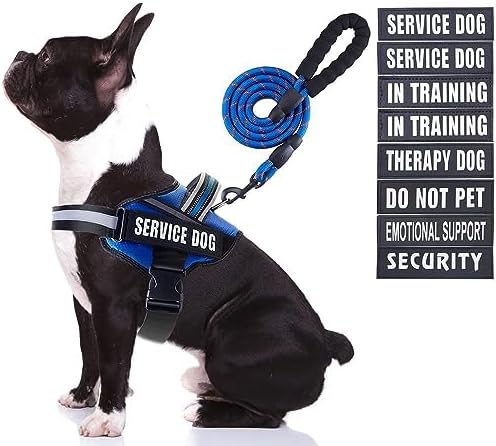 Service Dog Vest Harness and Leash Set, Animire in Training Dog Harness by Animire