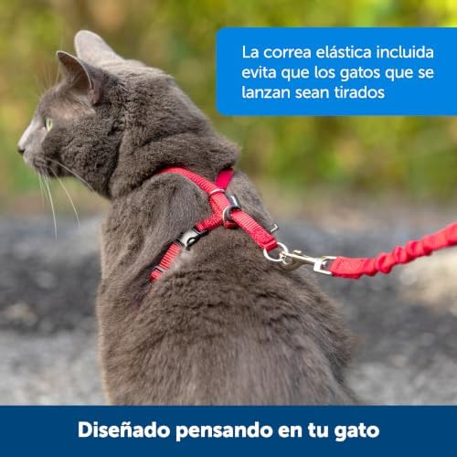 PetSafe Come With Me Kitty Harness and Bungee Leash, Harness - Image 5