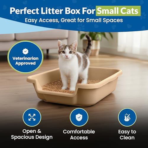 KittyGoHere Senior Cat Litter Box, Small Pan, 2 Pack Beach Sand - Image 2