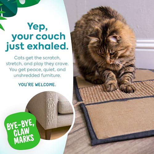 Petlinks Scratch & Play Carpet & Burlap Cat Scratch Mat - Image 4