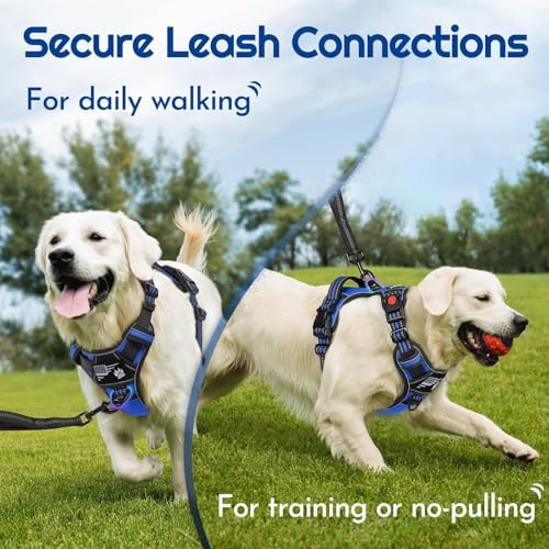 Eagloo Dog Harness No Pull for Large Dogs, Easy On & Off - Image 4