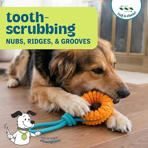 Dental Chew Wheel Durable Dog Toy, Tug & Chew, Mint Scent - Image 2