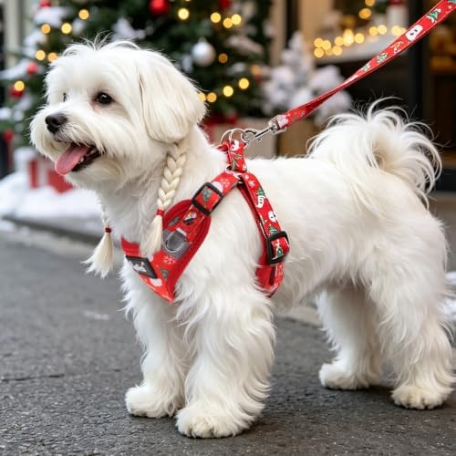 PUPTECK Christmas Dog Harness and Leash Set Small Sized, Step in No Pull - Image 5