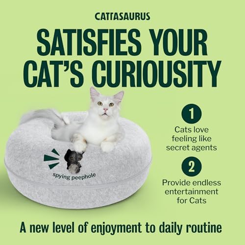 Cattasaurus Peekaboo Cat Cave Donut - Image 6