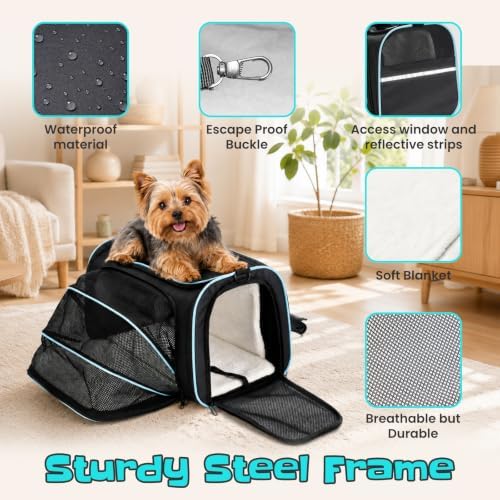 Soft-Sided Expandable Small Dog Carrier, Airline Approved - Image 3