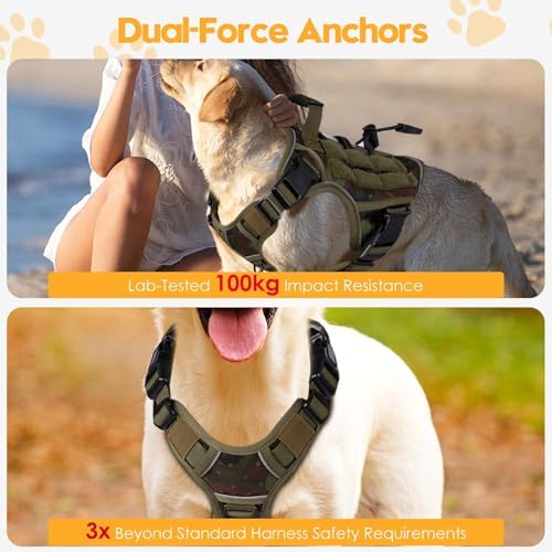 Heavy-Duty Tactical Dog Harness - Image 4