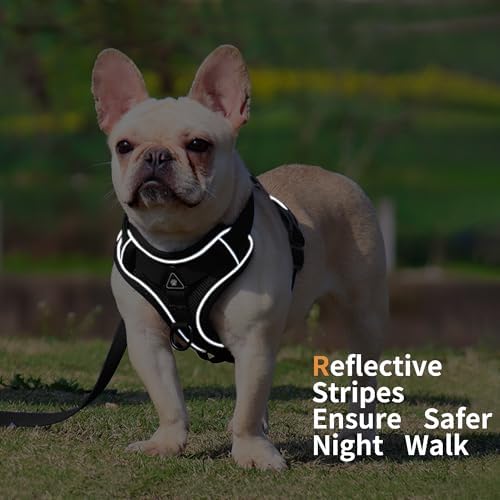 Dog Harness Small Sized Dog Pet Vest - Image 5