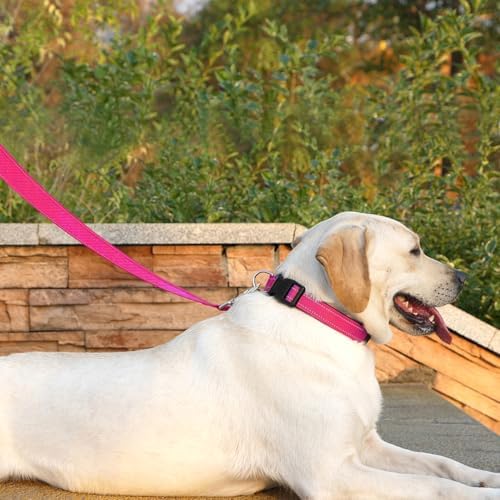 6 FT Basic Dog Leash for Medium Dogs, Hot Pink - Image 3
