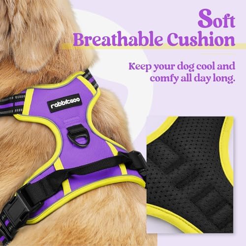 rabbitgoo Dog Harness, No Pull Medium Sized - Image 2
