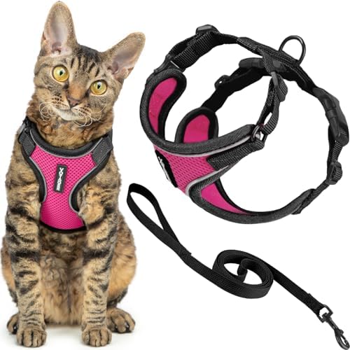 Voyager Escape-Proof Step-in Cat Harness & Leash by BestPetSuppliesLLC