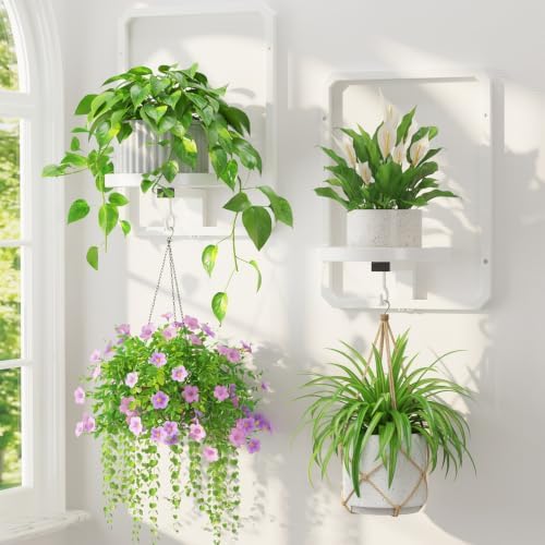LASZOLA Plant Picture Frame Holder Shelf Wall Window Indoor by LASZOLA