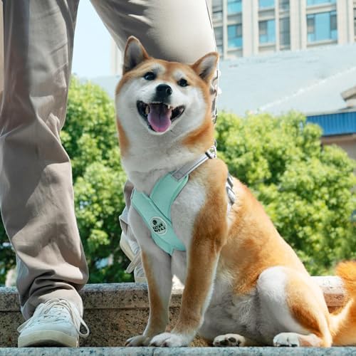 Patas Lague Dog Harness Small Sized Dog Pet Vest - Image 2