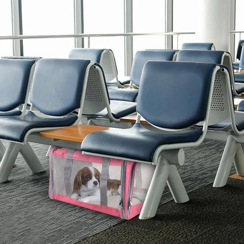 Cat Dog Carrier for Small Medium Cats Pet Carrier for Large and Medium Cats - Image 3