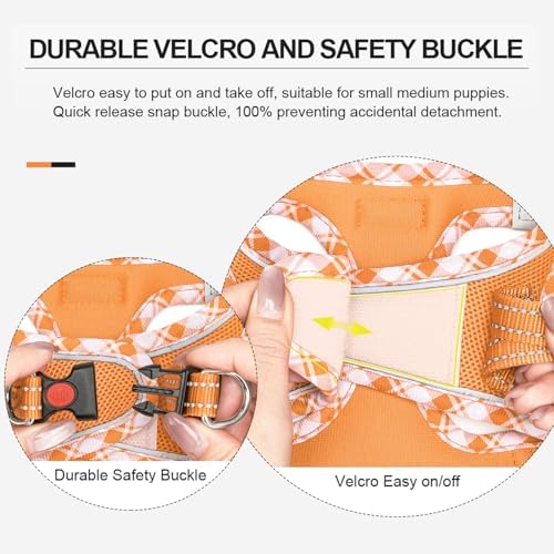 Mercano Soft Mesh Dog Harness and Leash Set, Step-in Reflective Breathable - Image 4