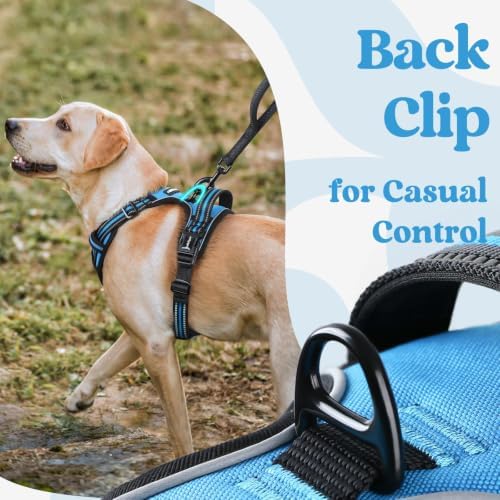 rabbitgoo Dog Harness for Large, Updated Easy On & Off - Image 6