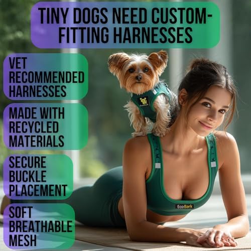 EcoBark Teacup Dog Harness, Step in Mesh Dog Harness, Forest Green - Image 2