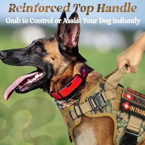 rabbitgoo Tactical Dog Harness for Medium, Heavy Duty Military No Pull Vest - Image 3