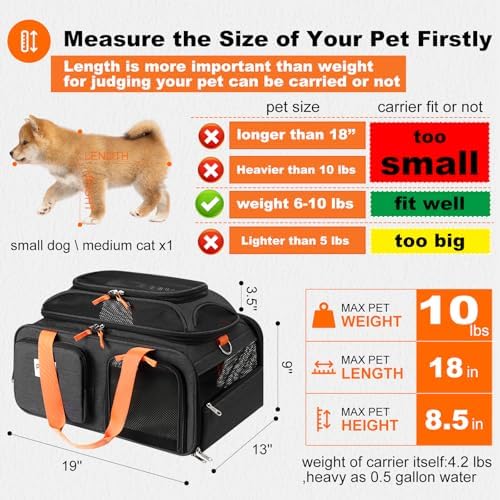 pidipiti 19x13x9 top Expandable pet Carrier, - Image 2