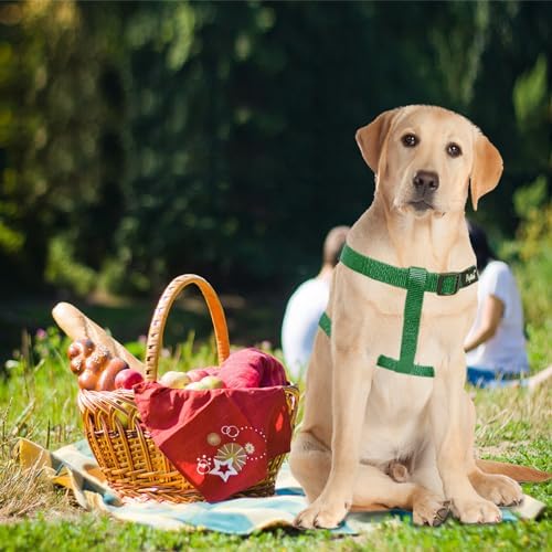 PUPTECK No Pull Dog Harness Large Sized Step-in Adjustable Puppy Vest - Image 5