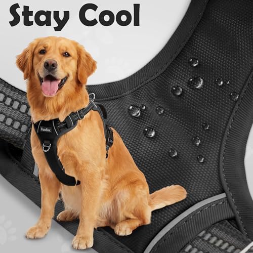 Funfox Dog Harness Medium Sized Dog, Vertical Handle Easy Control, No Pull Pet - Image 5