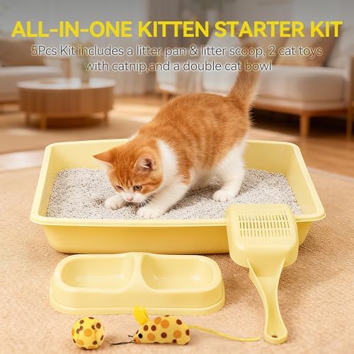 PAWISE Cat Litter Box Set, Small Kitten Starter Kit, Includes Litter Box - Image 3
