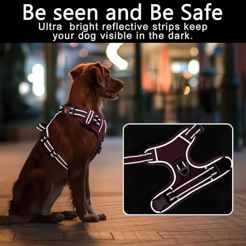 Timos Dog Harness, Front Clip No Pull Medium Sized - Image 3
