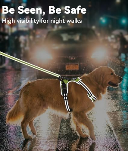 Joytale No Pull Dog Harness for Small Dogs, Front Clip - Image 5