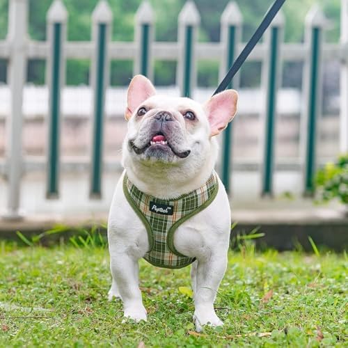 PUPTECK Small Dog Harness and Leash Set No Pull - Image 6