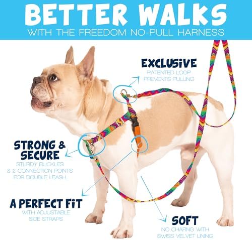2 Hounds Design Freedom No Pull Dog Harness, 1 inch XXL, Royal Blue - Image 2